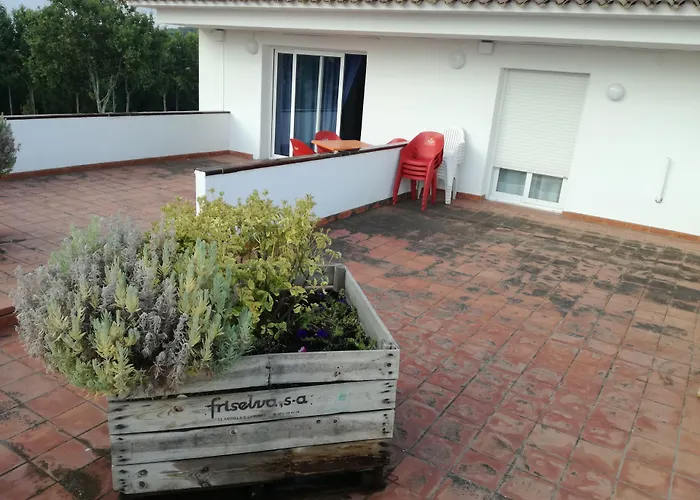 Hotel Hotel Platja D'Aro 2*