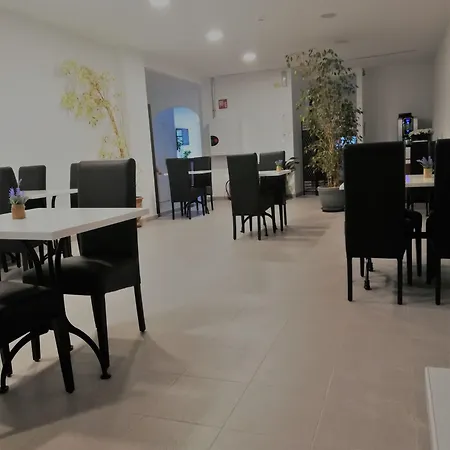 Hotel Hotel Platja D'Aro 2*